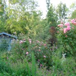 La cabane au fond du jardin !