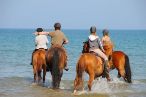 Les chevaux aiment beaucoup avoir les jambes massées par l'eau froide