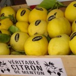 Le citron de Menton en attente d'un label ou d'une igp