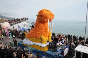 Un morse très agrumes sur fond de Méditerranée