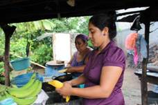Les femmes cuisinent les bananes plantain
