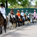 Promenades à poneys pour les petits