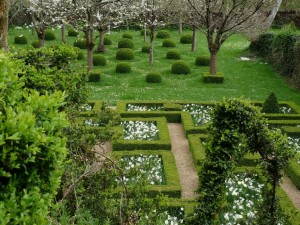 Coupe de l'herbe en damiers et plantations de fleurs uniquement blanches dans le verger du bas