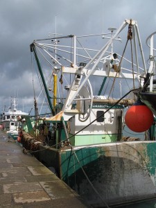 La pêche aux petits bateaux est omniprésente