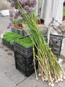 Des bouquets d'ail en fleurs partout en vente dans les rues