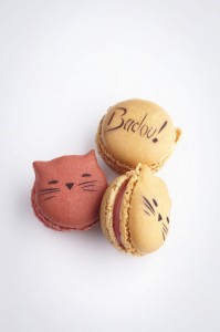 Barbe à papa et fraise tagada pour ces deux nouveaux macarons de septembre prochain