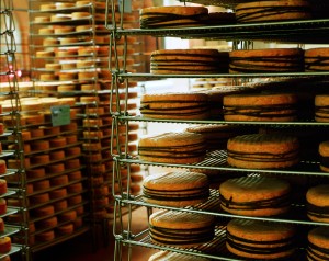 Une fois la laiche posée, les fromages peuvent aller s'affiner