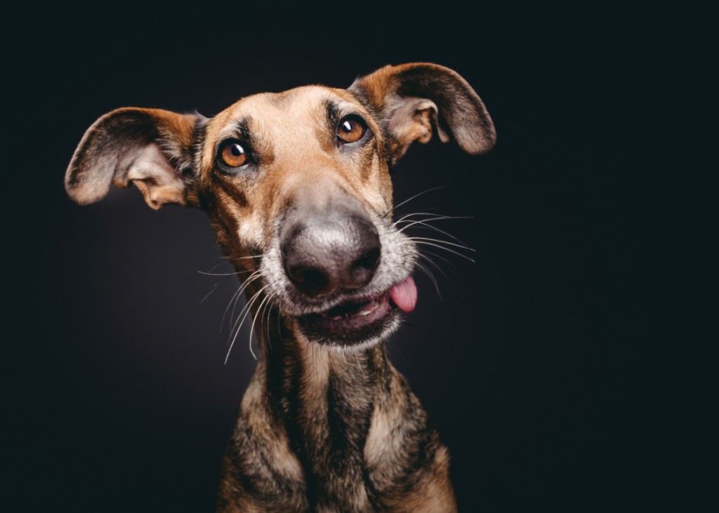 Photo de l'allemande Elke Vogelsang