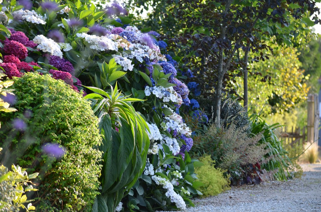 Une allée du jardin de La Bristellerie