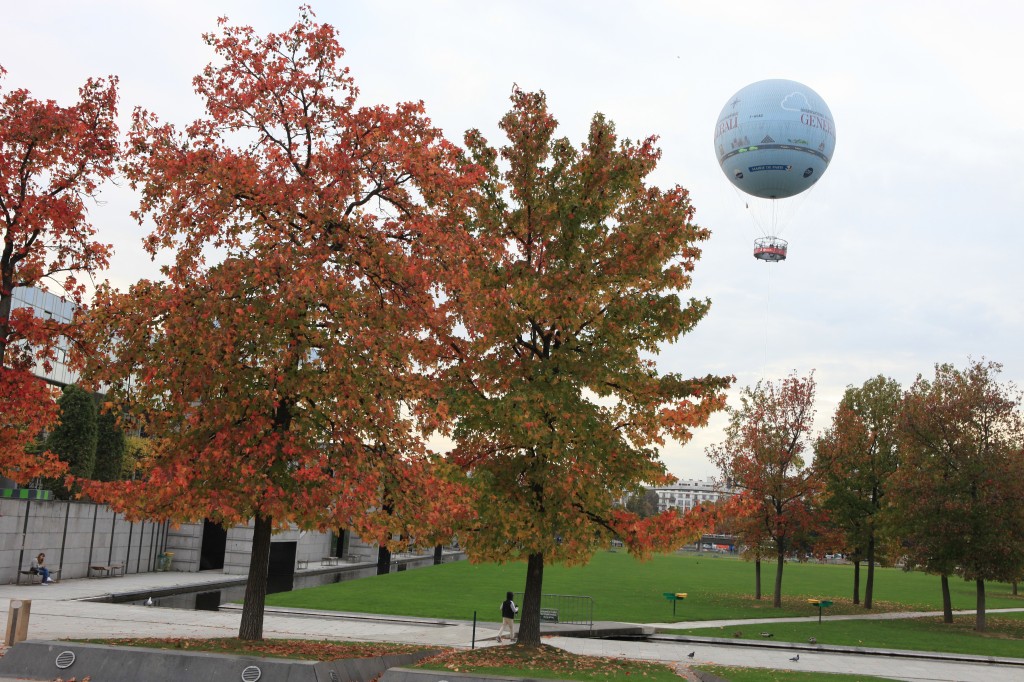 Liquidambars près du ballon captif du parc Citroën 