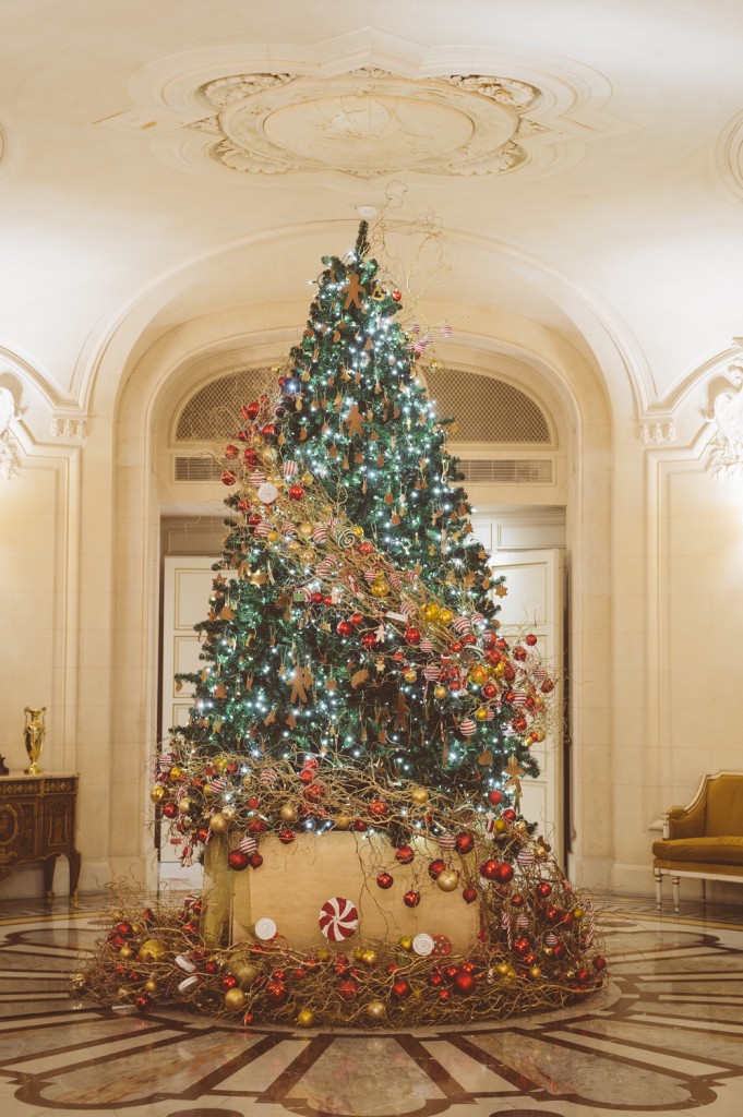 Le sapin dans l'entrée