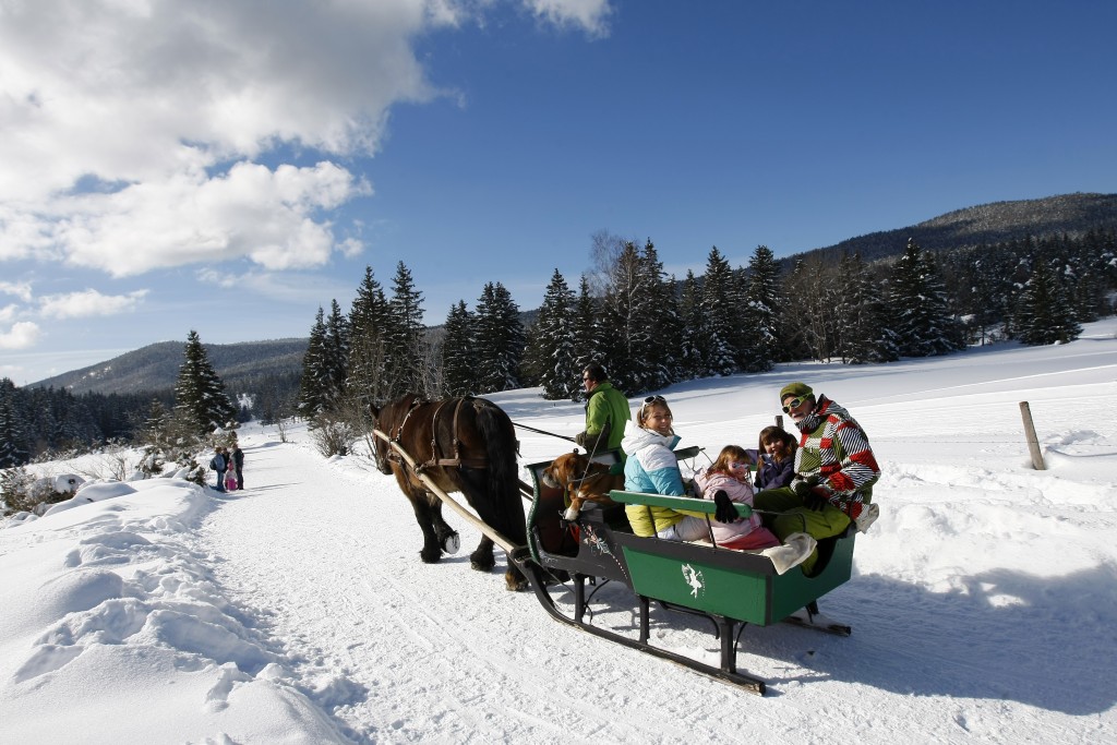 Balade familiale en traîneau