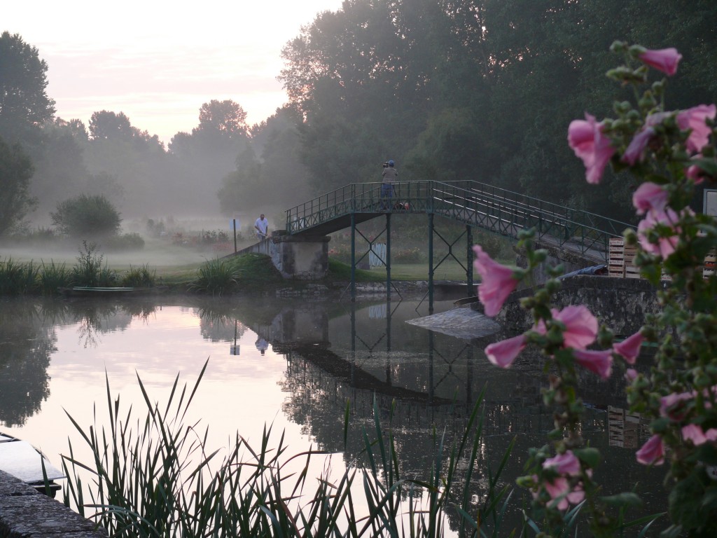 Brouillard matinal