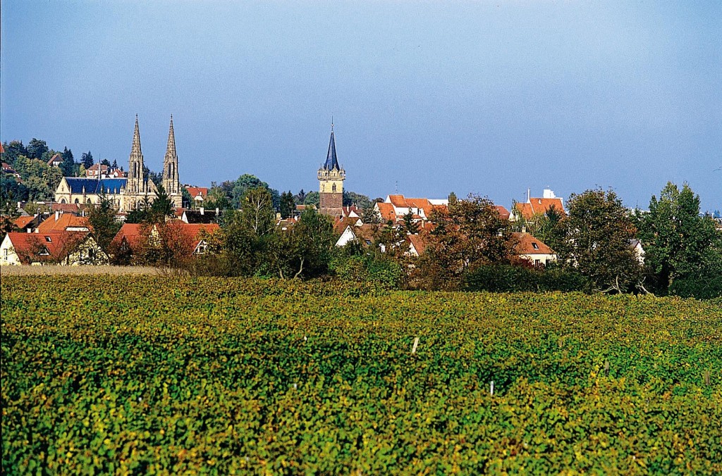 La ville est comme enclavée dans le vignoble