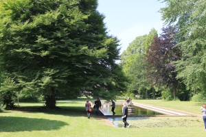 Des arbres majestueux....