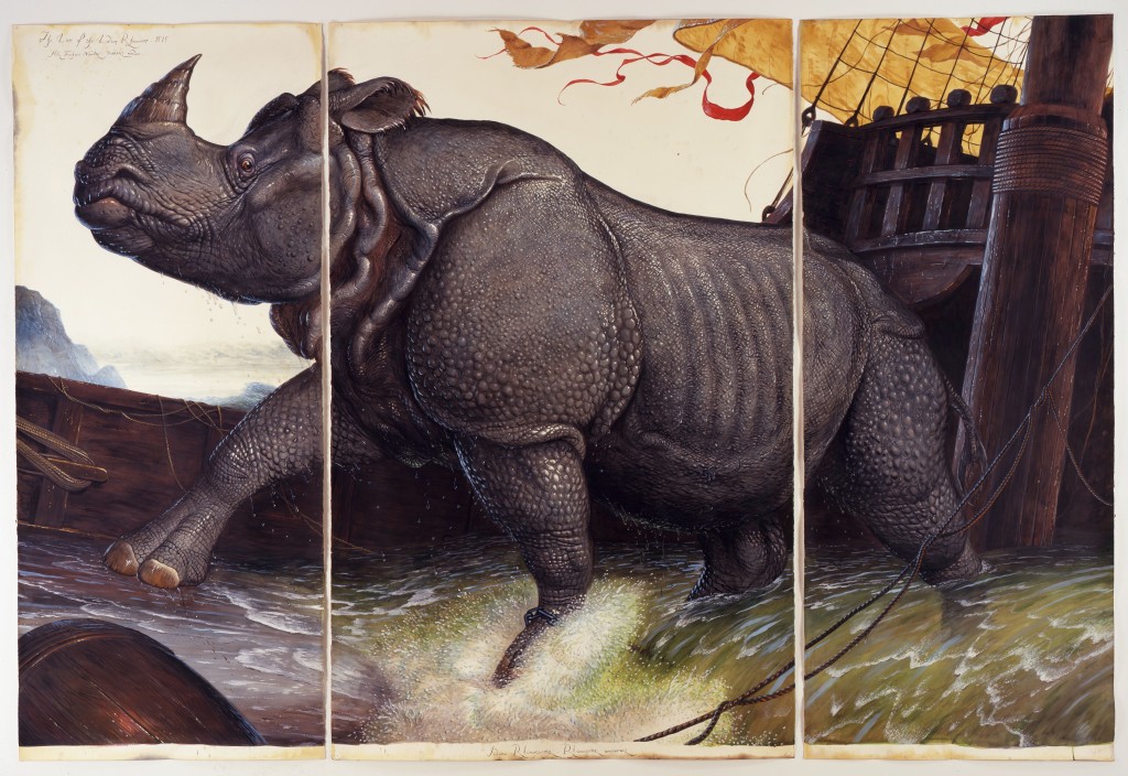 Le rhinocéros 