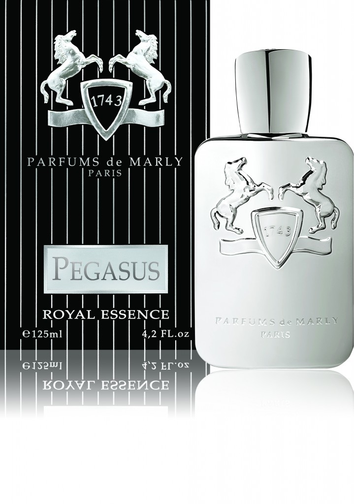 Une classique fougère aux Parfums de Marly nommée 'Pégasus'