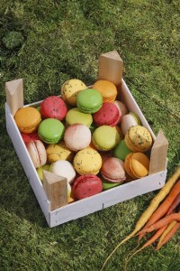 Les macarons jardiniers de Yannick Lefort