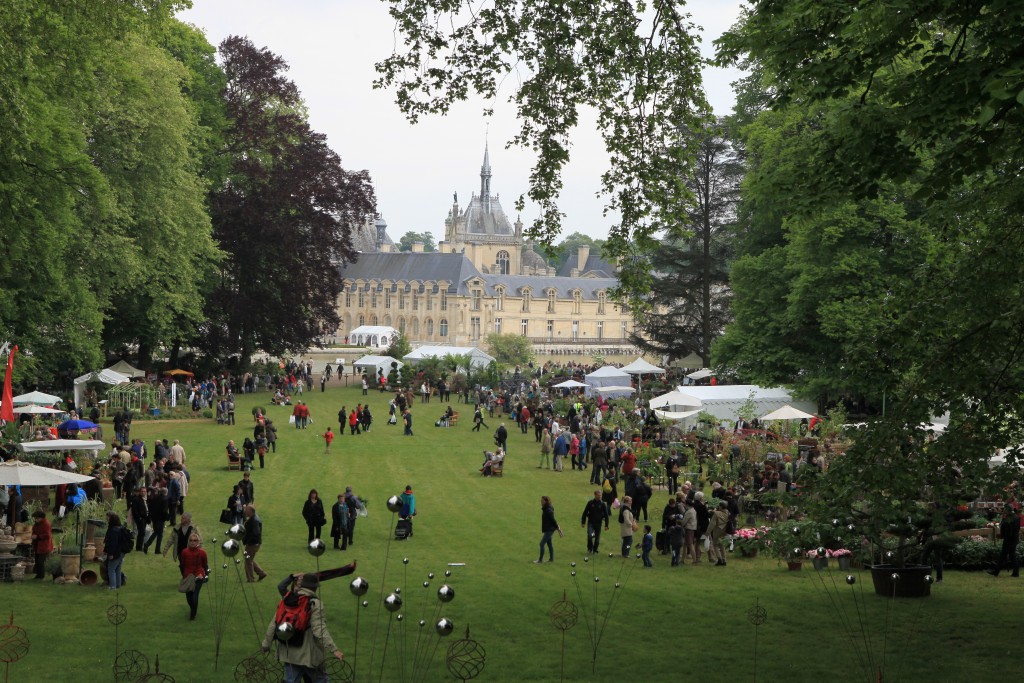 Vue globale avec le château au fond