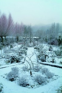 Le jardin de Didier en hiver