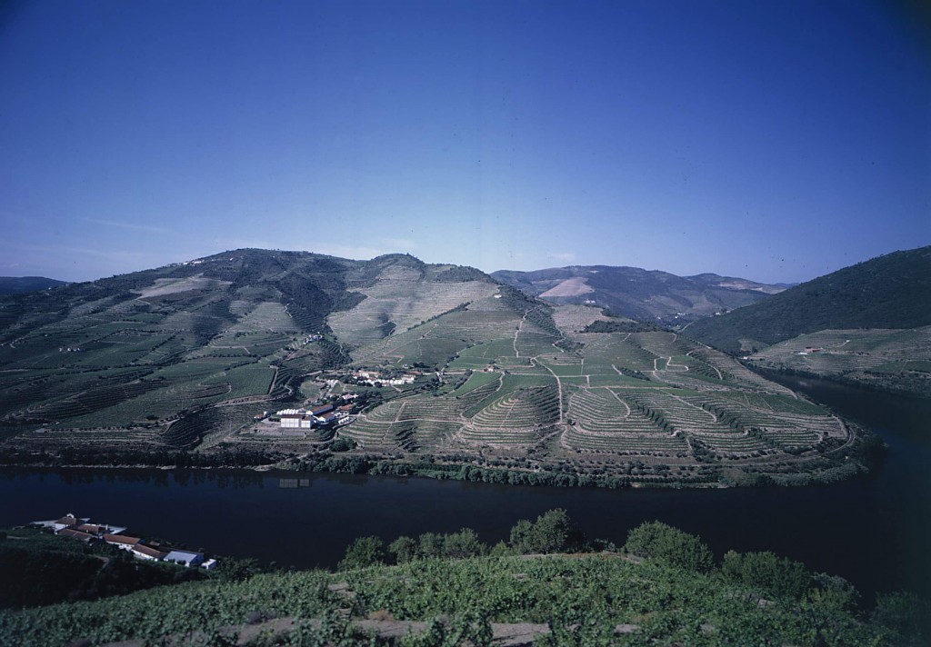 panorama sur la quinta da Roeda