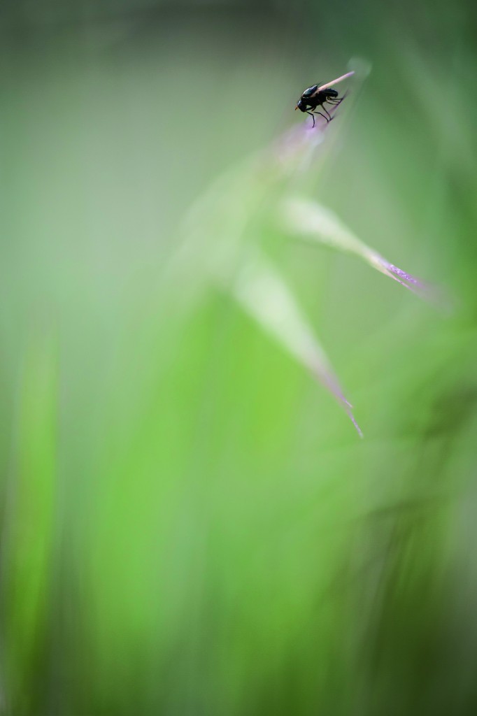 Photo d'ambiance minimaliste avec un objectif de 150 mm