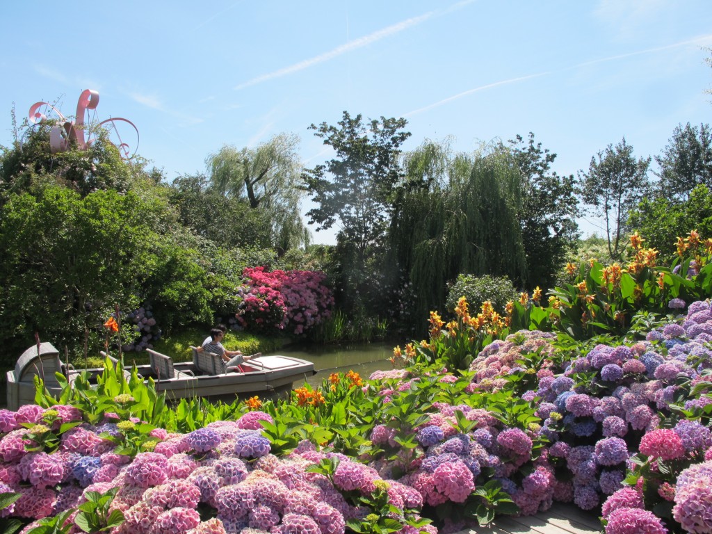 Une petite balade fluviale est possible entre les hortensias