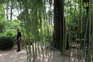 Un corset de bambous pour absorber l'arbre de l'entrée