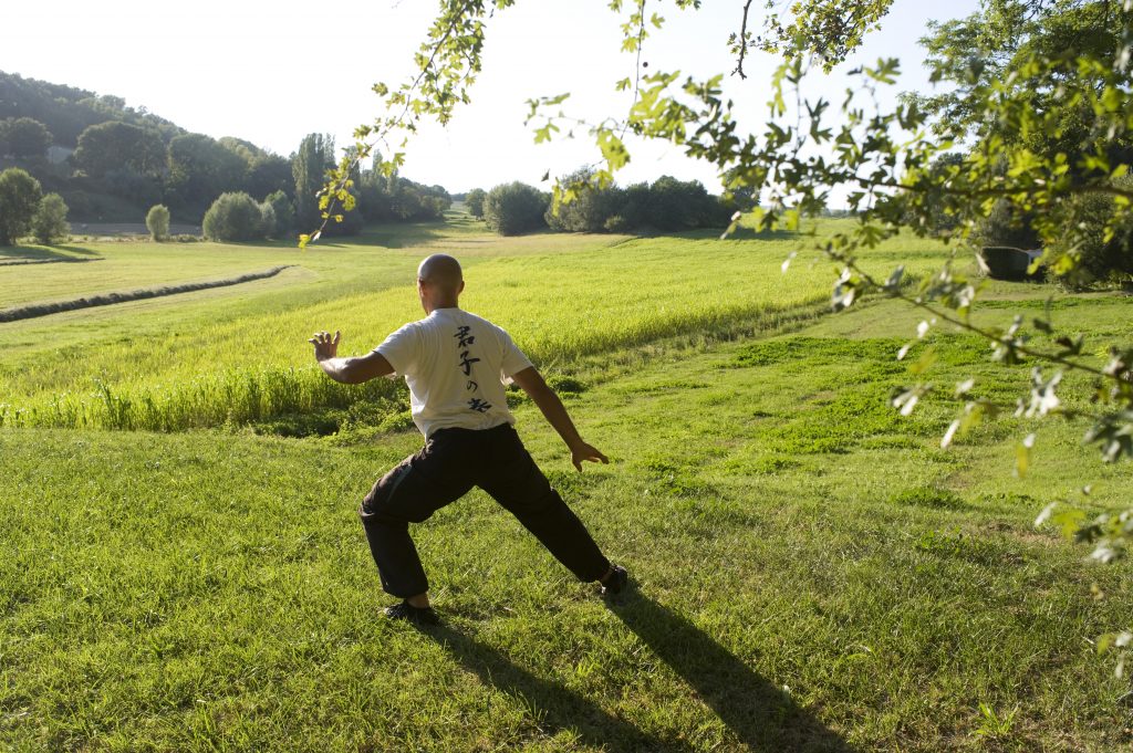 Qi Gong en plein air