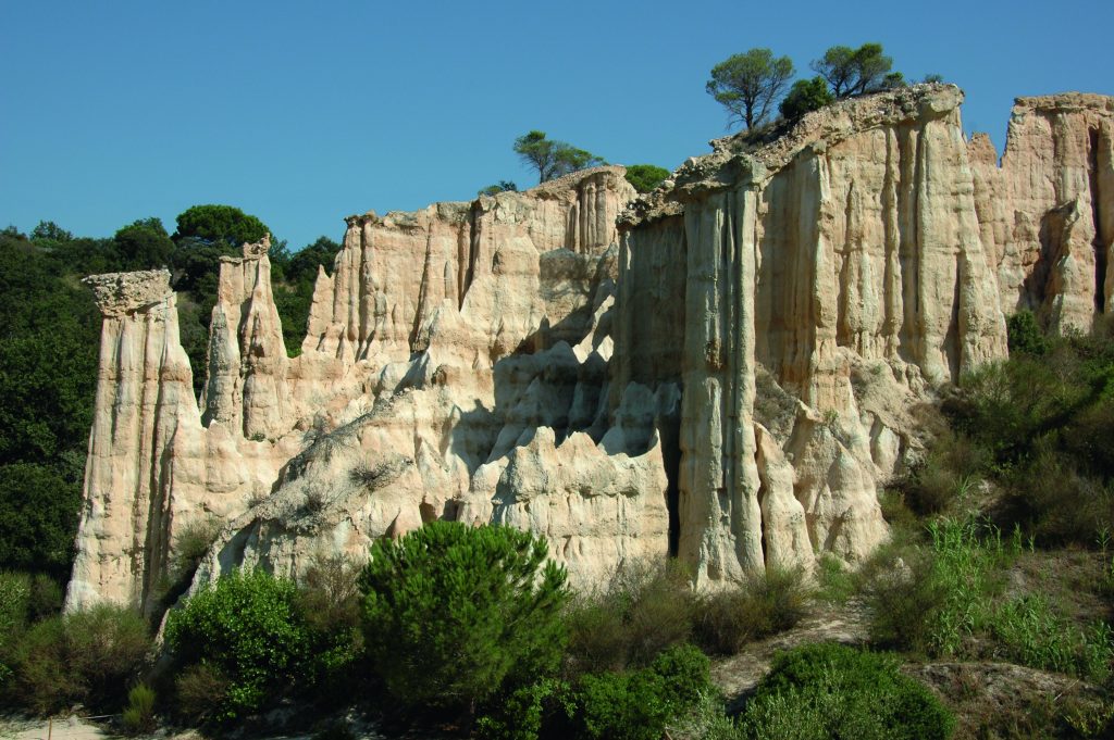 Les orgues dille sur Tet