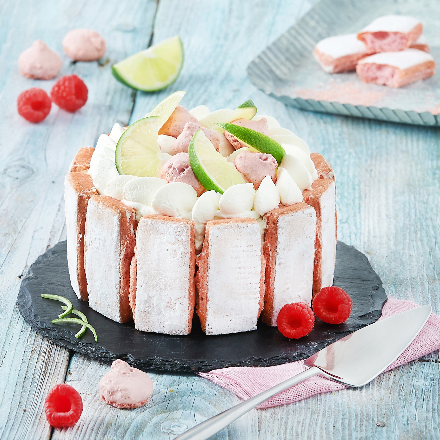 Charlotte Citron Vert Mascarpone Et Biscuits Roses Fossier L Evasion Des Sens Charlotte Citron Vert Mascarpone Et Biscuits Roses Fossier L Evasion Des Sens