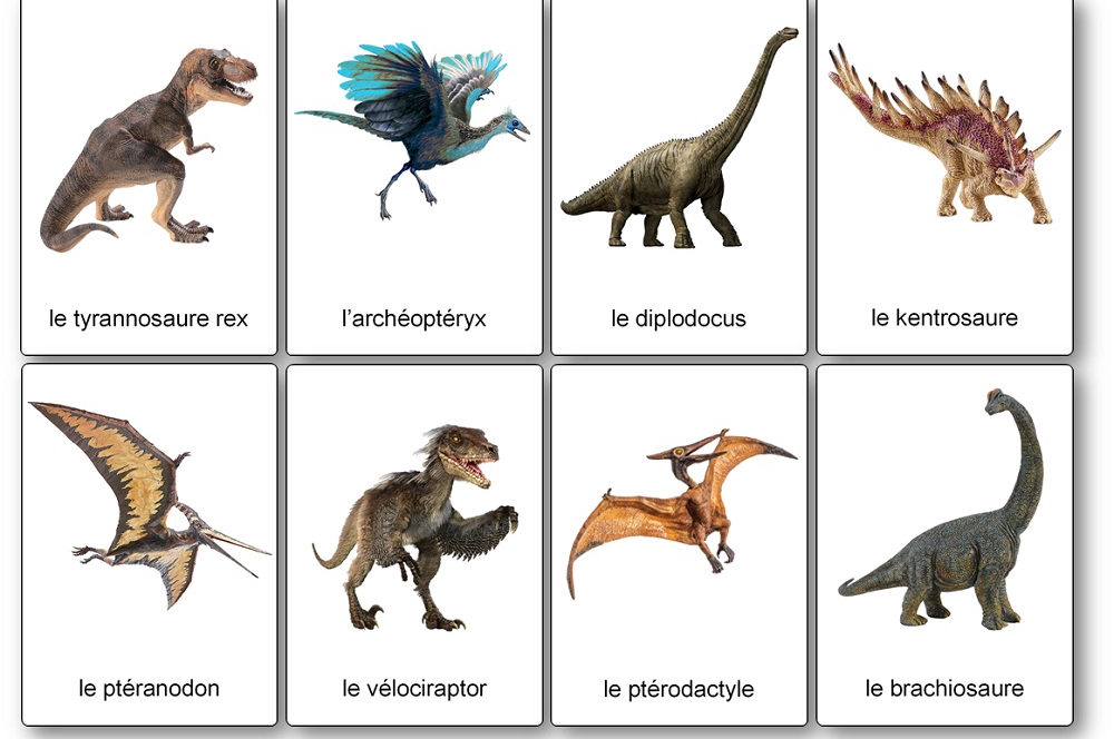 Les jouets dinosaures de 2022 - L'Evasion des Sens