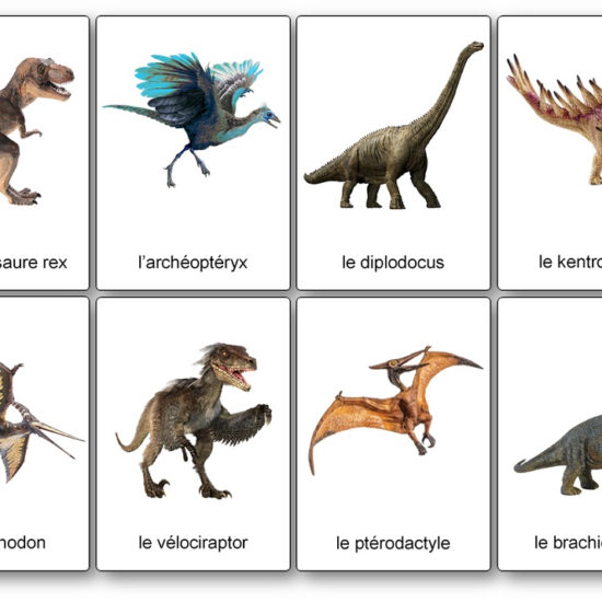 Premiers signes de vie et dinosaures (Entre 550 et 1,8 MA)