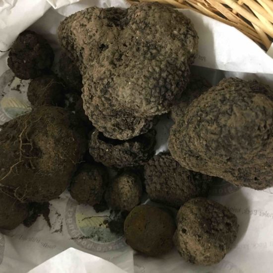 Le miel à la truffe noire du Périgord 2,4 % - 100 g - La Grande Épicerie de  Paris